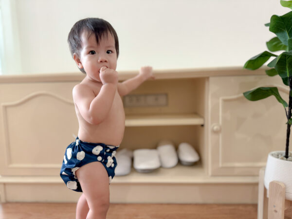 กางเกงผ้าอ้อม All-In-One (AIO) Diaper – STONE