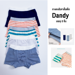 กางเกงในขาสั้นเด็ก 24ss/Dandy (5 Pcs.)