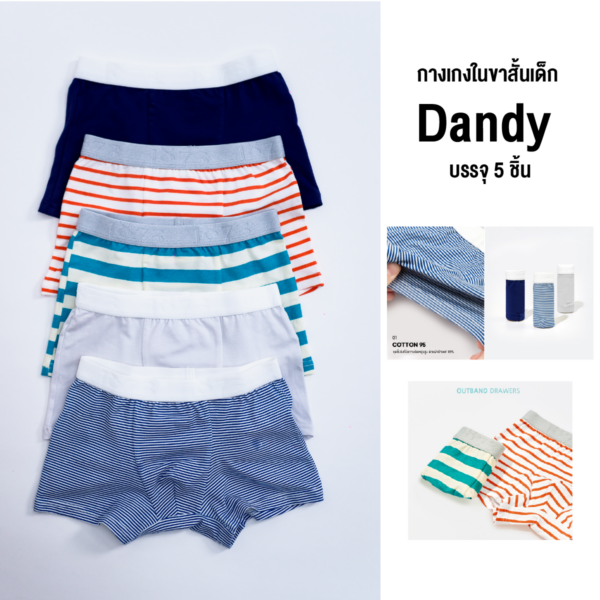 กางเกงในขาสั้นเด็ก 24ss/Dandy (5 Pcs.)