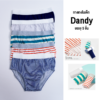 กางเกงในเด็ก 24ss/Dandy (5Pcs.)