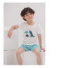 ชุดเสื้อแขนสั้นและกางเกงขาสั้น 5 ส่วน 25ss  Slub Cotton Crong Land