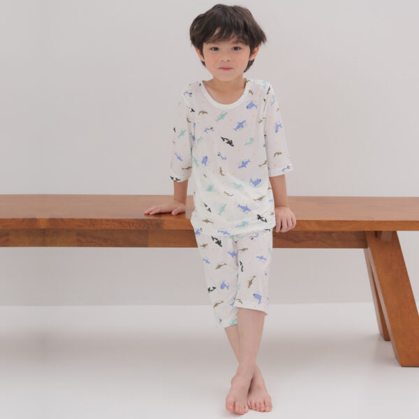 ชุดแขนขายาว 7 ส่วน 25ss Cool Rayon Blue Ocean